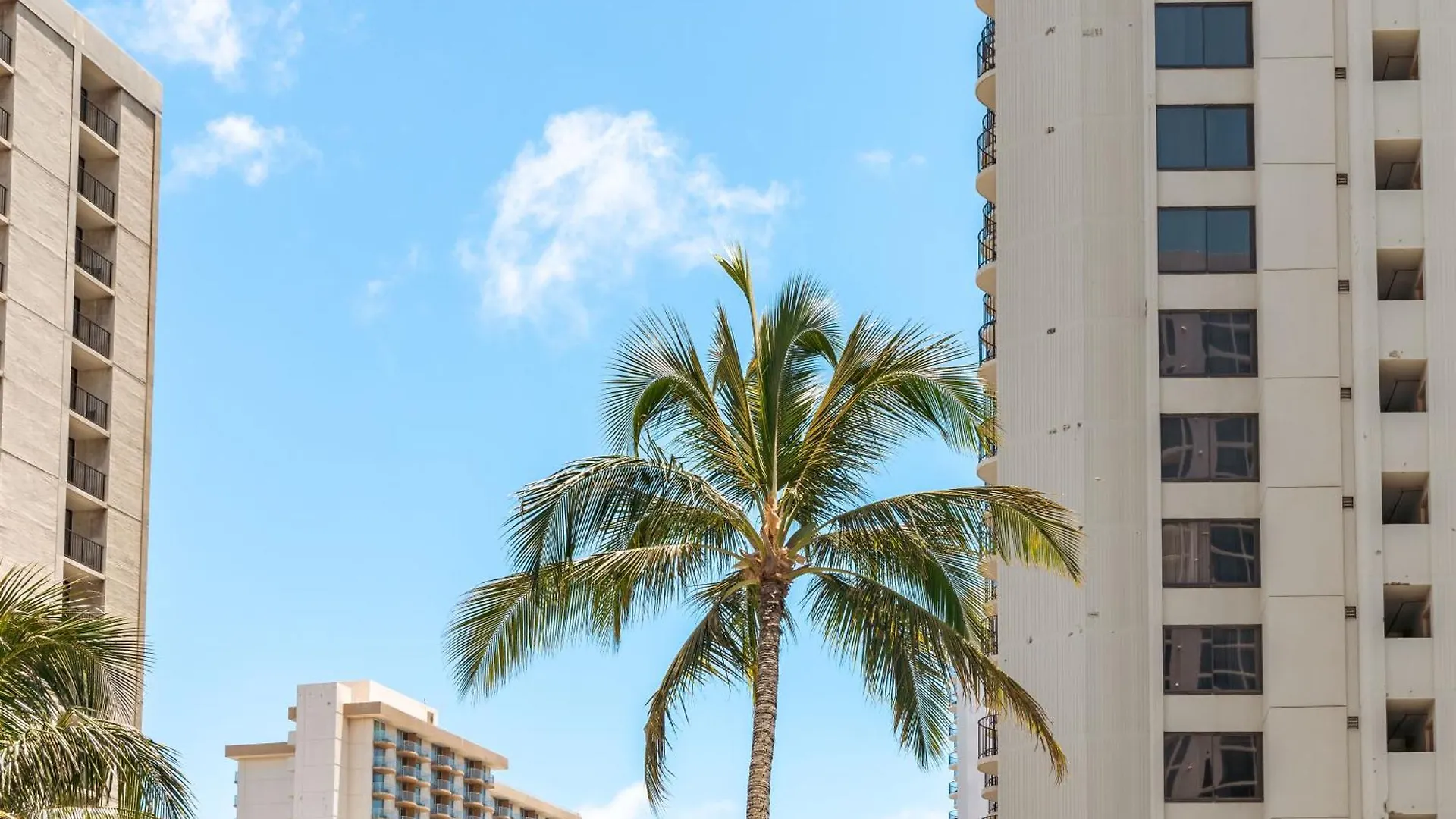 Beautiful 1Br With King Bed, Ocean View, Fast Wi-Fi & Free Parking Apartment Honolulu United States