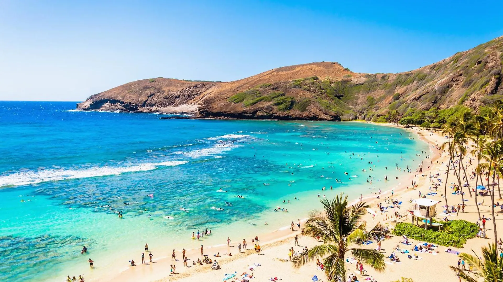 Beautiful 1Br With King Bed, Ocean View, Fast Wi-Fi & Free Parking Apartment Honolulu