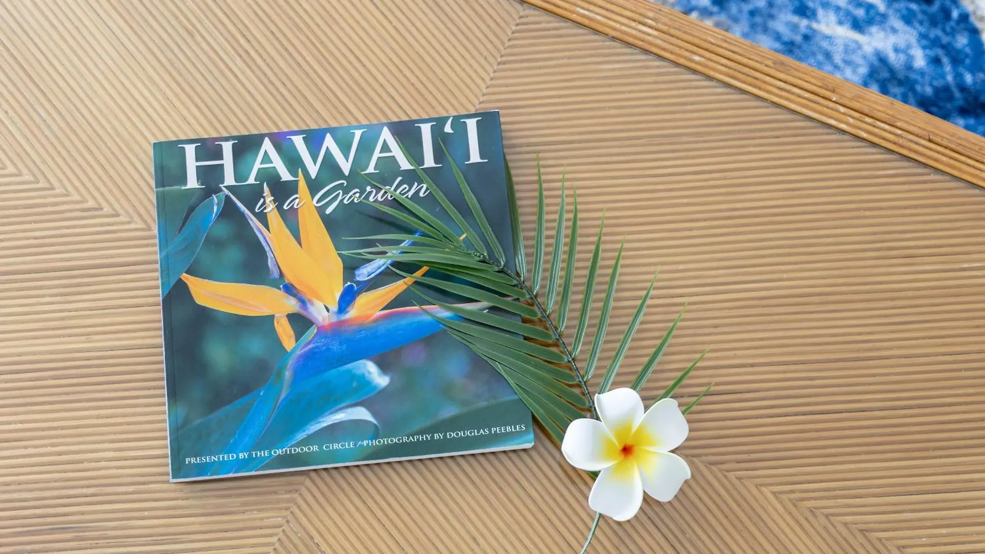 Beautiful 1Br With King Bed, Ocean View, Fast Wi-Fi & Free Parking Apartment Honolulu