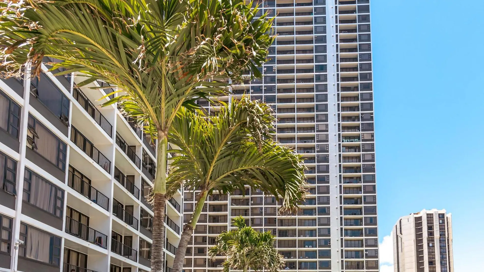 Appartement Beautiful 1Br With King Bed, Ocean View, Fast Wi-Fi & Free Parking à Honolulu